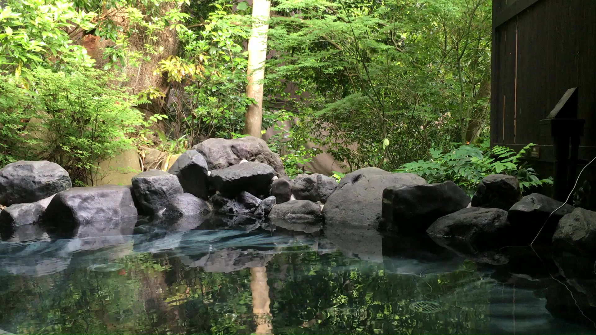 Un bassin extérieur bordé de pierres sombres, eau calme et réfléchissante entourée d'une végétation luxuriante aux verts profonds